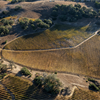 Napa Valley with Kelli White