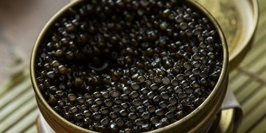 Caviar with Alayna Steinman and Chef Austin Waiter