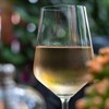 Tasting with Braithe Tidwell and Sam Bortugno