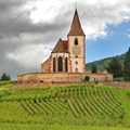 Alsace with Jean Trimbach