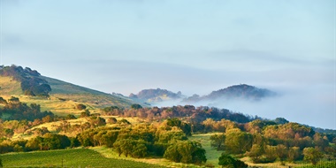 Joseph Phelps Insignia with David Pearson