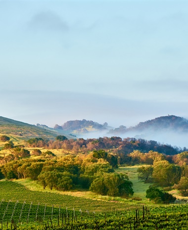 Joseph Phelps Insignia with David Pearson