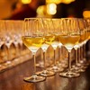 Wine Chemistry with P.J. Alaimo