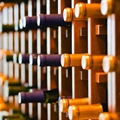Tasting with Steven McDonald and Rachael Liggett-Draper