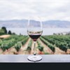 Tasting with Marissa Kipp and Tyler Alden