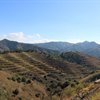 Misunderstood Topics in Spanish Wine