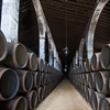 rows of stacked barrels in a wine cellar