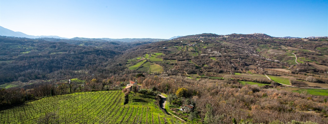 Taurasi in Transition: Reimagining Aglianico in Southern Italy