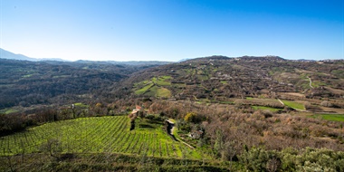 Taurasi in Transition: Reimagining Aglianico in Southern Italy