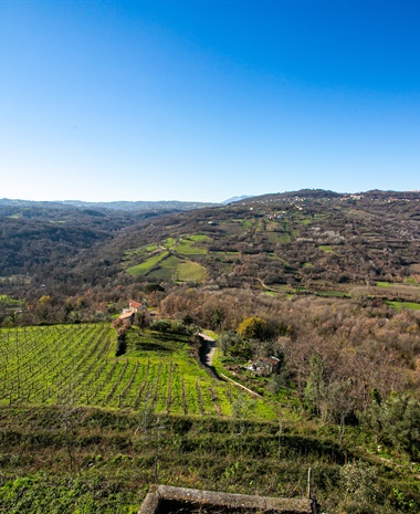 Taurasi in Transition: Reimagining Aglianico in Southern Italy