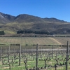 Valley Views in South Africa