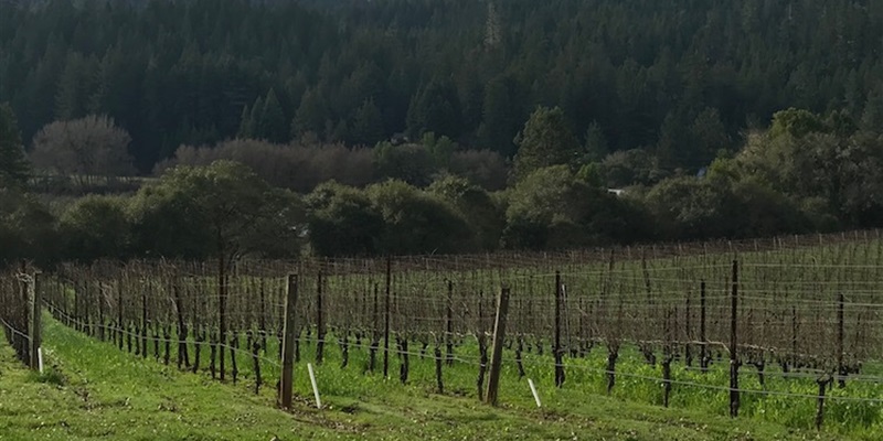 Making Sense of Mendocino