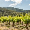 Burgeoning Southern Oregon