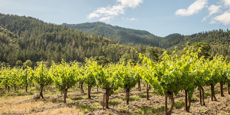 Burgeoning Southern Oregon