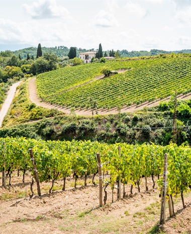 From Stars to Words: How Brunello FORMA Is Redefining Vintage Evaluations