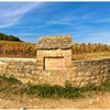 Musigny