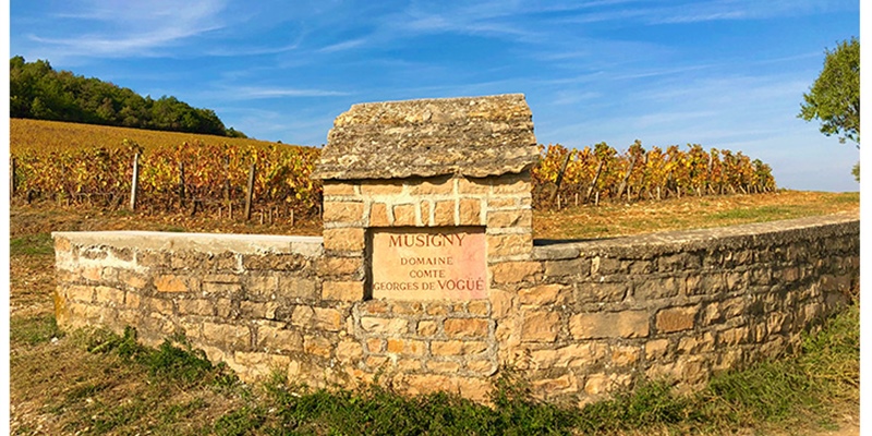 Musigny