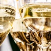Glasses of sparkling wine with visible bubbles
