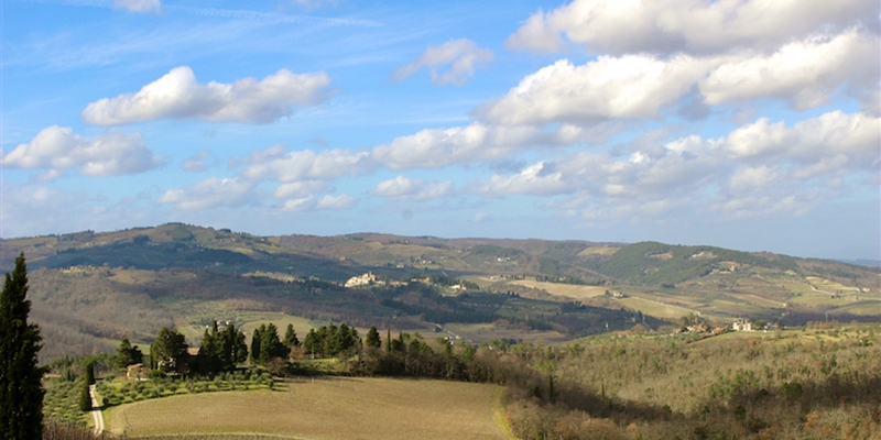 Sangiovese on Edge