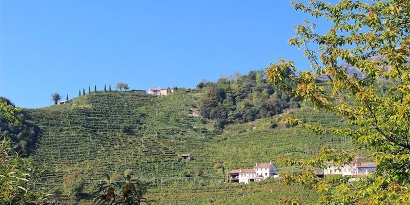 Cartizze: Prosecco’s Peculiar Grand Cru