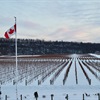 The Time Has Come for Ontario Wine: Can It Meet the Moment?
