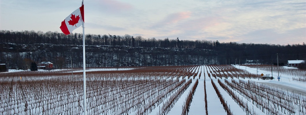 The Time Has Come for Ontario Wine: Can It Meet the Moment?
