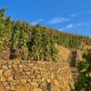 La Landonne