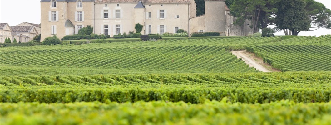 Understanding Dry White Bordeaux