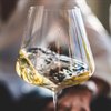 Study Strategies: Evaluating Wine Quality