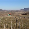 Hungarian Wine Regions in the Shadows