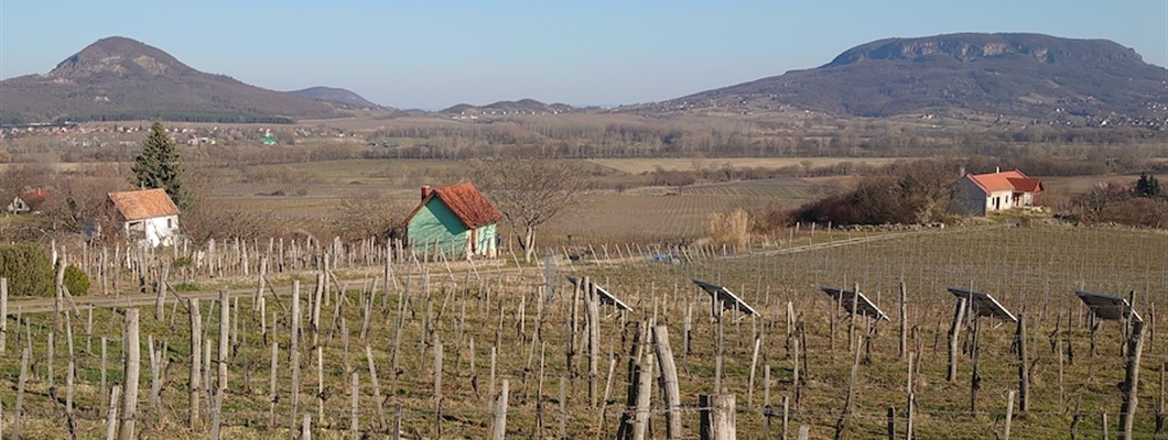 Hungarian Wine Regions in the Shadows
