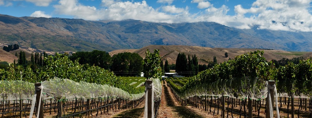 Australia’s Wine Identity