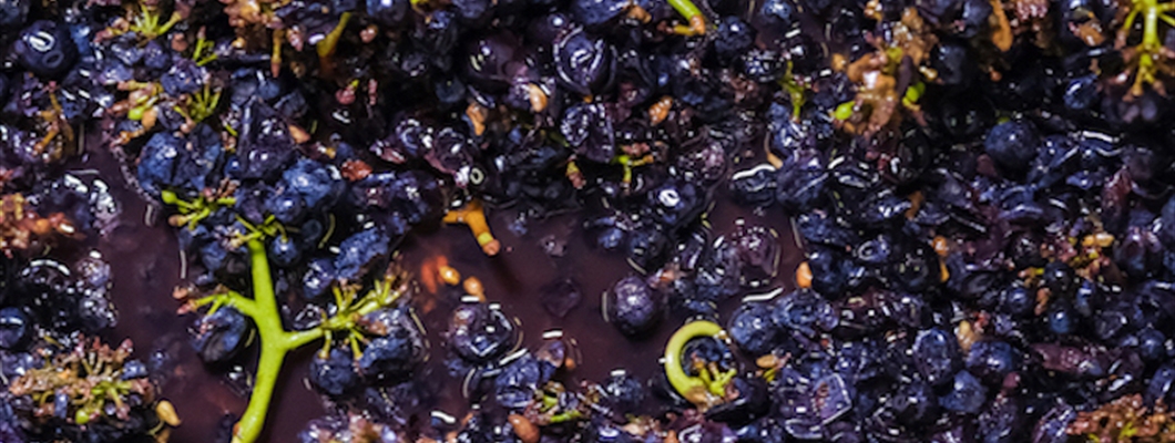 The Role of pH in Winemaking