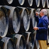 Comparing Reductive and Oxidative Winemaking