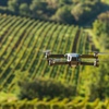 Digital Disruption in the Wine Industry