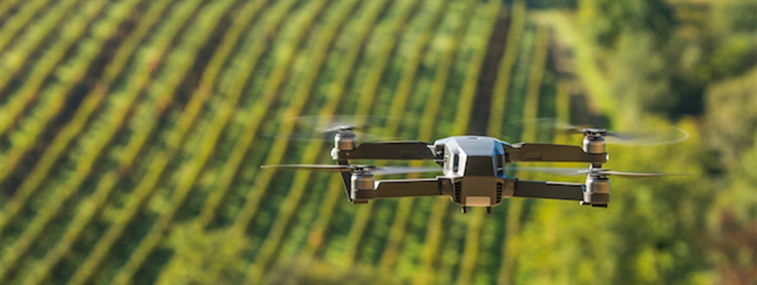 Digital Disruption in the Wine Industry
