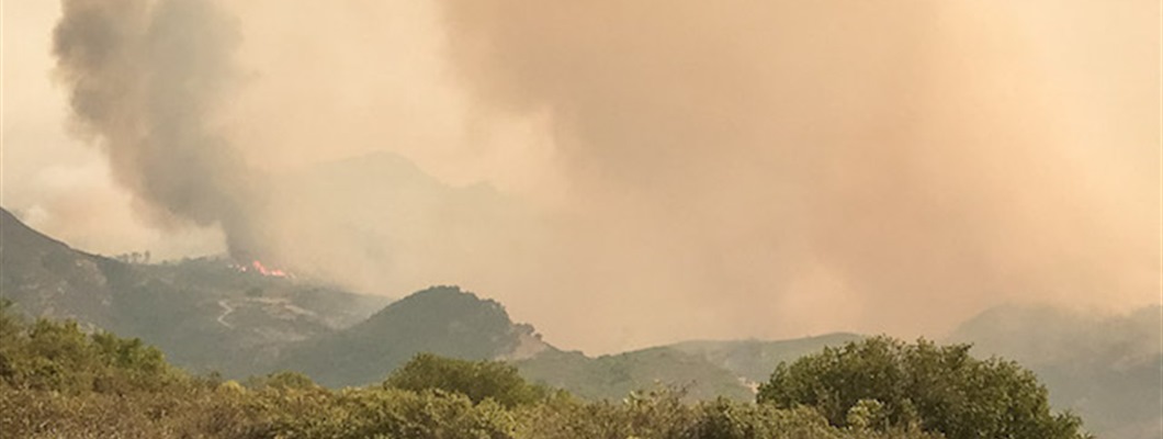 Measures for Mitigating Smoke Taint in Wines