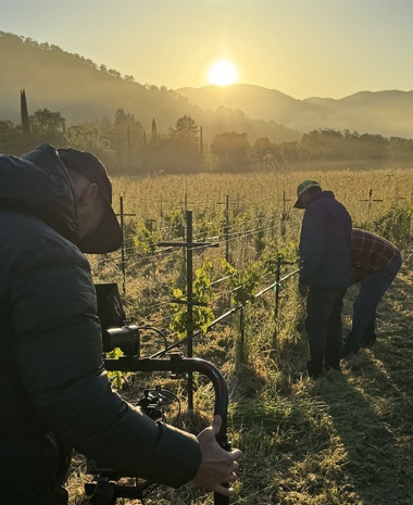 Question Everything: How to Apply Critical Thinking to Sustainability