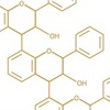 Guide to Phenolics