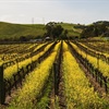 Staff Training: Sonoma