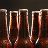 Beer Staff Training