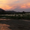 Producer Profiles: Malbec