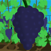 Vineyard-to-Bottle Video Short