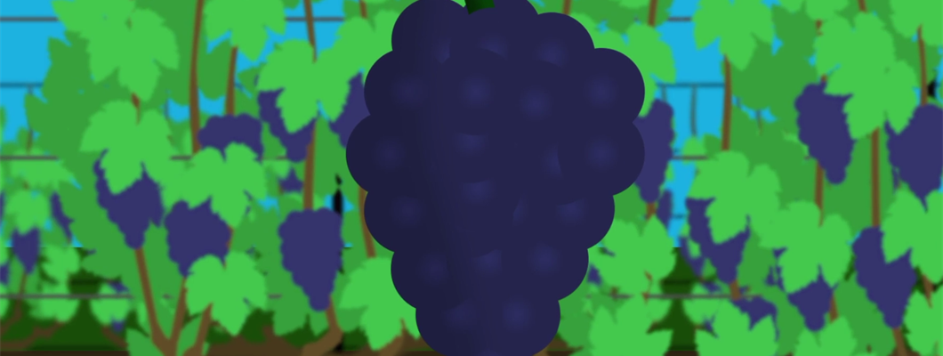 Vineyard-to-Bottle Video Short