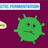 Video: Malolactic