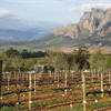 Expert Guide: South Africa