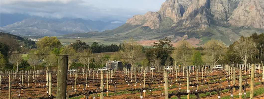 Expert Guide: South Africa
