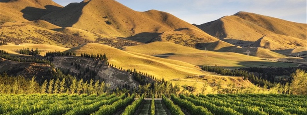 Producer Profiles: New Zealand