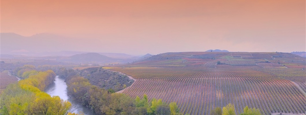 First E-Learning Course: Spain