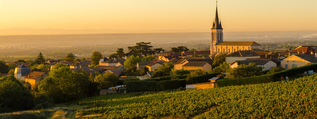 village with church at sunset, with vines in the foreground